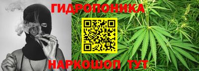 ешки Будённовск