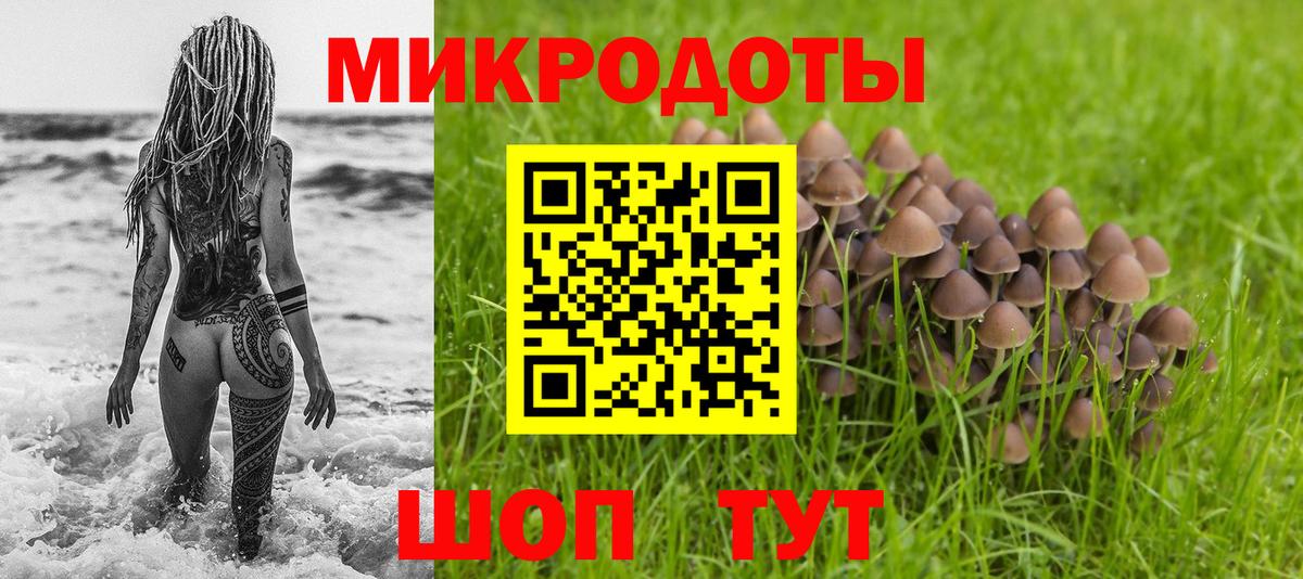 Псилоцибиновые грибы Psilocybe  Вход с VPN  Рузаевка  Галлюциногенные грибы мицелий 